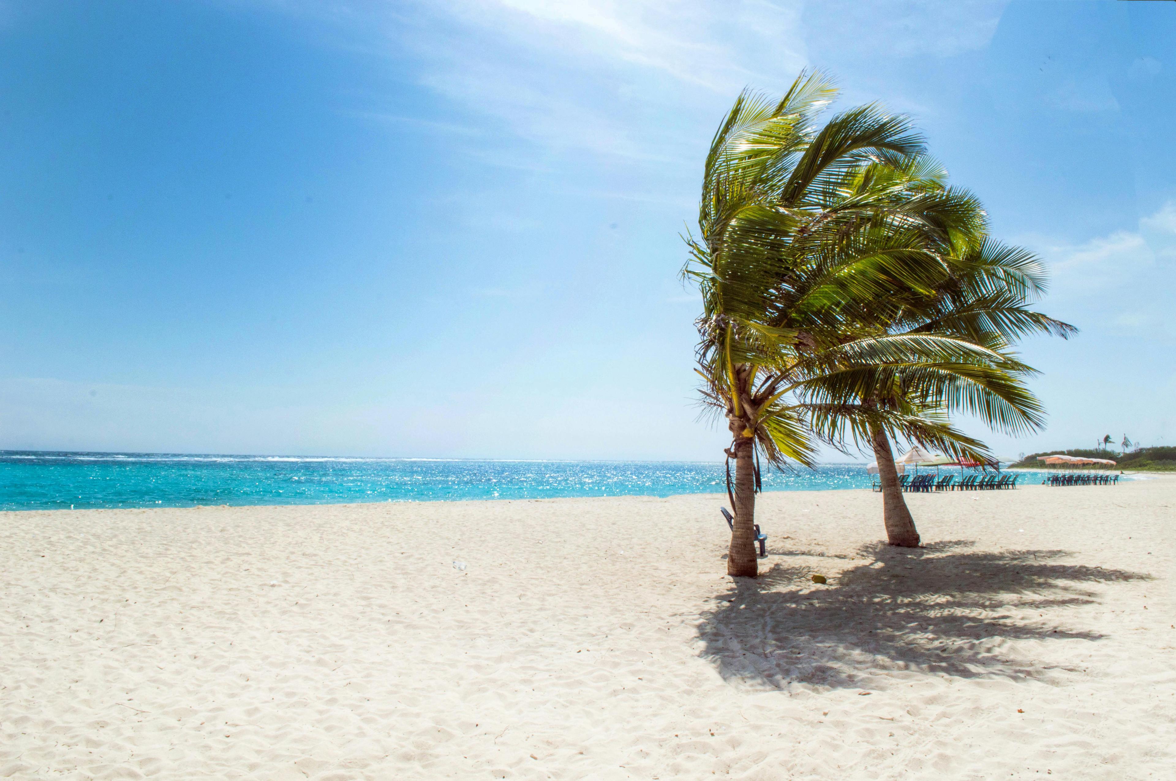 Beach Background